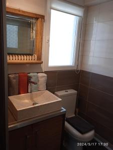 a bathroom with a sink and a toilet and a window at Les Oliviers de Camargue in Salin-de-Giraud