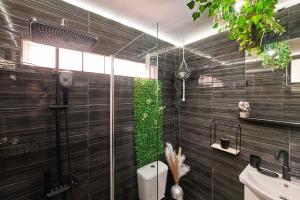 uma casa de banho com um chuveiro, um WC e um lavatório. em Villa Fisi and Wellness em Apladhianá