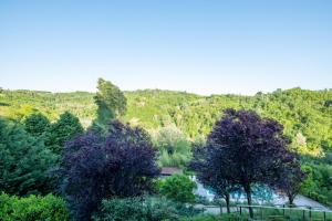 a group of trees with purple flowers in front of a mountain at Tenuta Moncarlino in Morsasco