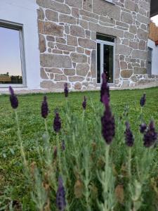 Κήπος έξω από το Casa de Suelas +11 φωτογραφίες