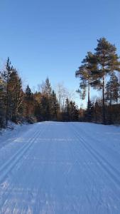 una carretera cubierta de nieve con árboles en el fondo en Koselig hytte i skogen, en Skodje