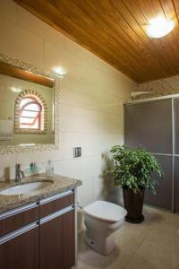a bathroom with a toilet and a sink and a plant at Hospedaria Santa Clara - Serra Catarinense in Bom Retiro