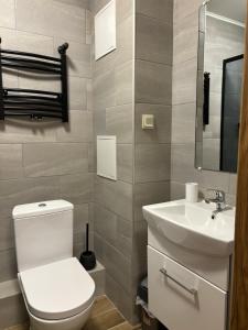 a bathroom with a white toilet and a sink at Salaspils center apartment in Salaspils