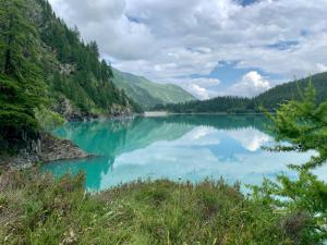 Táj Show holiday homes közelében