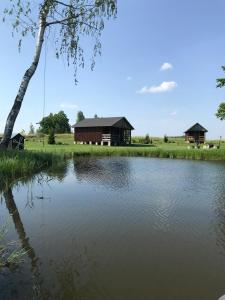 a house next to a lake with a tree at Atpūtas sēta Lībieši in Luņi