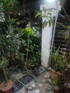ein Garten mit einem Schlauch in einem Zimmer mit Pflanzen in der Unterkunft Nagpur Tuljai Villa Homestay in Khāpri + 24 Fotos