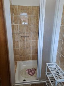 a shower with a bath tub in a bathroom at Rekreační dům in Dobříš +15 photos