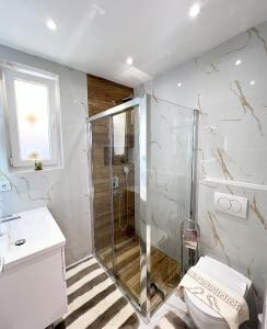 Un baño con ducha, inodoro y lavabo. en Bella Vista Sarajevo, en Sarajevo