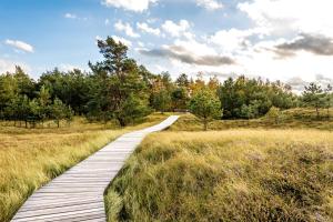 a wooden boardwalk through a field with trees at Ferienhaus Ostsee in Pruchten