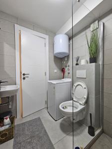 Koupelna v ubytování Studio apartman Gold + 17 fotografií