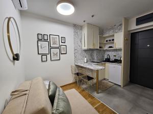 Kuchyň nebo kuchyňský kout v ubytování Studio apartman Gold