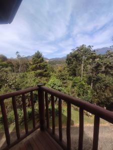 雷森迪德馬烏阿的住宿－Pousada Mirante do Céu，享有森林美景的阳台