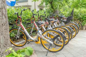 uma fila de bicicletas estacionadas uma ao lado da outra em Hotel Cormoran Riccione em Riccione