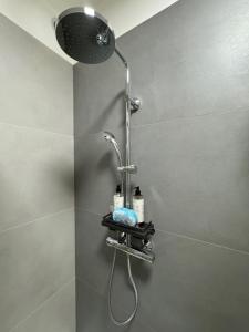 a shower with a shower head in a bathroom at Mi AN HOME in Paese