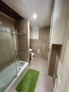 a bathroom with a shower and a toilet with a green rug at HUDSON in New York