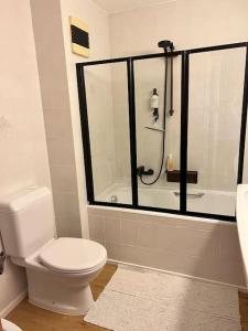 a bathroom with a white toilet and a shower at Beryl Flat for 5, stunning views in Villars-sur-Ollon
