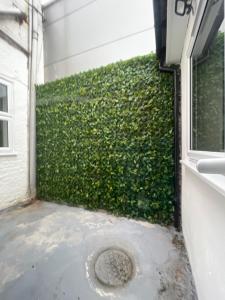 a garage door with a green hedge at Blackheath Stay in London