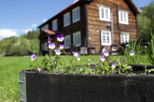 Zahrada ubytování Sevletunet B&B and Cabins