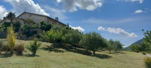 a house on top of a hill with trees at La Finestra Sui Monti in Arcevia