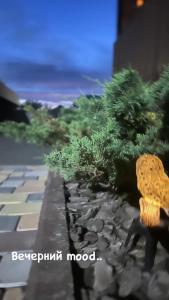 a bonsai model of a road with trees at "Гостевой дом Анны" по улице Абая, 165 in Taldykorgan