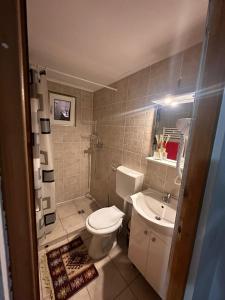 Koupelna v ubytování Casa La Românaș