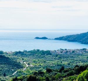 an island in the water next to a body of water at STELIA view apartment in Panagia +2 photos