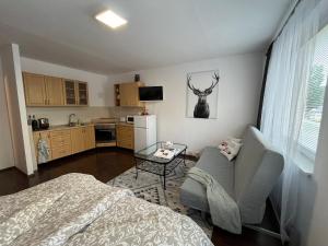 Kuchyň nebo kuchyňský kout v ubytování Apartment No. 1 + 8 fotografií