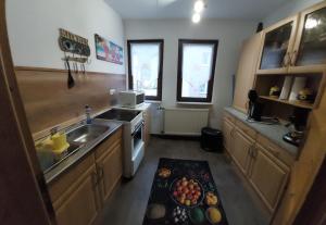 a small kitchen with a sink and a stove at Ferienwohnung Schlothauer 1 in Ruhla