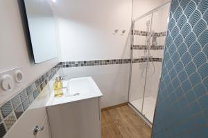 a bathroom with a sink and a shower at demeure de prestige centre ville Nogent Sur Seine in Nogent-sur-Seine