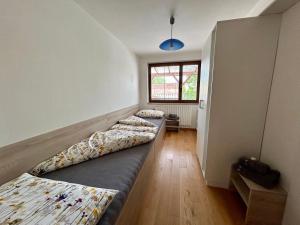 Zimmer mit 3 Betten und Kissen darauf in der Unterkunft Apartmány Strážnice in Strážnice