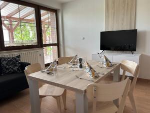 TV a/nebo společenská místnost v ubytování Apartmány Strážnice