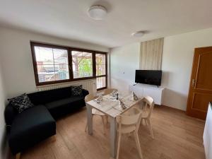 TV a/nebo společenská místnost v ubytování Apartmány Strážnice