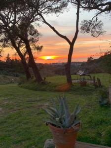 Východ nebo západ slunce při pohledu z bed and breakfast nebo okolí