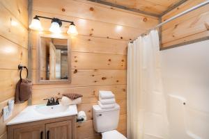 a bathroom with a white toilet and a sink at Bear Necessity by Stony Brook Cabins in Gatlinburg +10 photos