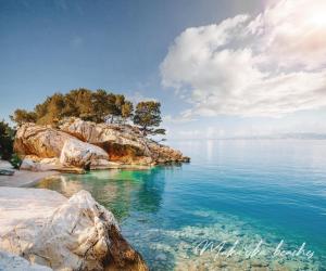 a rocky island in the water with trees on it at Villa F in Vrgorac - Makarska in Vrgorac