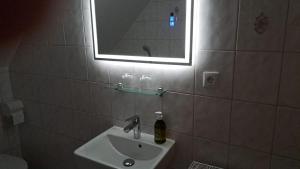 ein Bad mit einem Waschbecken und einem Spiegel in der Unterkunft In der Wachau 