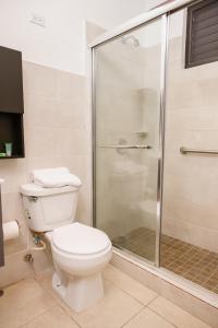 uma casa de banho com um WC e uma cabina de duche em vidro. em Casa Campo Bed & Breakfast em San Sebastian