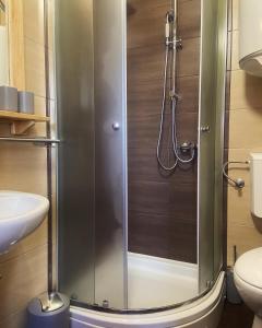 a shower with a glass door in a bathroom at Marijini dvori in Čadjavica