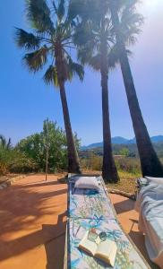 een bed met twee palmbomen op de achtergrond bij casa India in Alicante