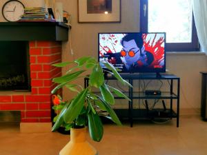Televízia a/alebo spoločenská miestnosť v ubytovaní Haus Convallaria