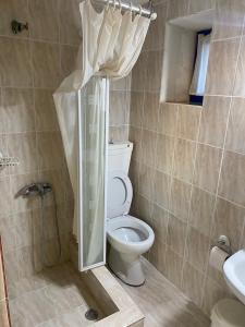 a bathroom with a toilet with a shower curtain at Kalamitsi House 1 in Agia Pelagia +37 photos