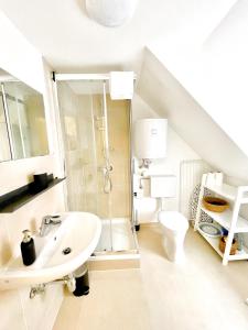 een badkamer met een douche, een wastafel en een toilet bij StayHere Central City Studio 18 - contactless Self-Check-IN in Graz