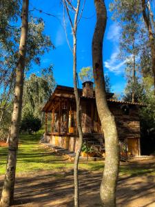 una cabaña de madera en el bosque con árboles en Suite Cabaña Cantodeagua-Jacuzzi, en Villa de Leyva