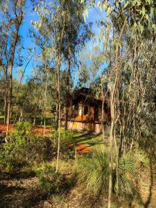una casa en medio de un bosque en Suite Cabaña Cantodeagua-Jacuzzi, en Villa de Leyva