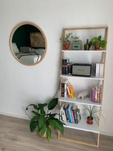 a book shelf with a mirror and a plant at Maison des mésanges in Colmar