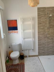 a bathroom with a toilet and a shower at Maison des mésanges in Colmar +15 photos