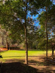 un groupe d'arbres dans un parc avec de l'herbe verte dans l'établissement Clavellino House Campestre-Villa de Leyva-WIFI, à Villa de Leyva