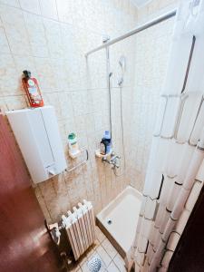 a bathroom with a shower and a sink at Vila Avala in Belgrade