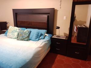 a bedroom with a bed with blue pillows and a mirror at Casa Jasso in Guanajuato +19 photos