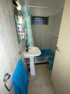 サン・ラファエルにあるCabañas El Rosal departamentoのバスルーム(シンク、青いトイレ付) +18枚の写真